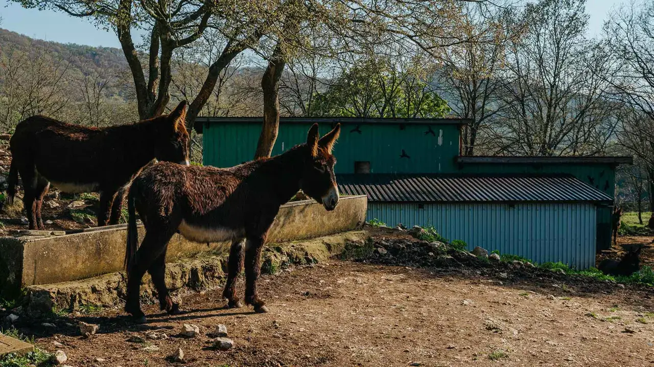 Stone village and countryside — Molise hills
