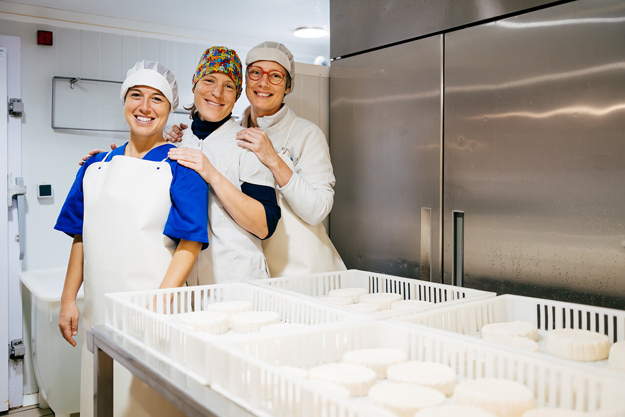 Dairy workers at Agnone — caciocavallo production